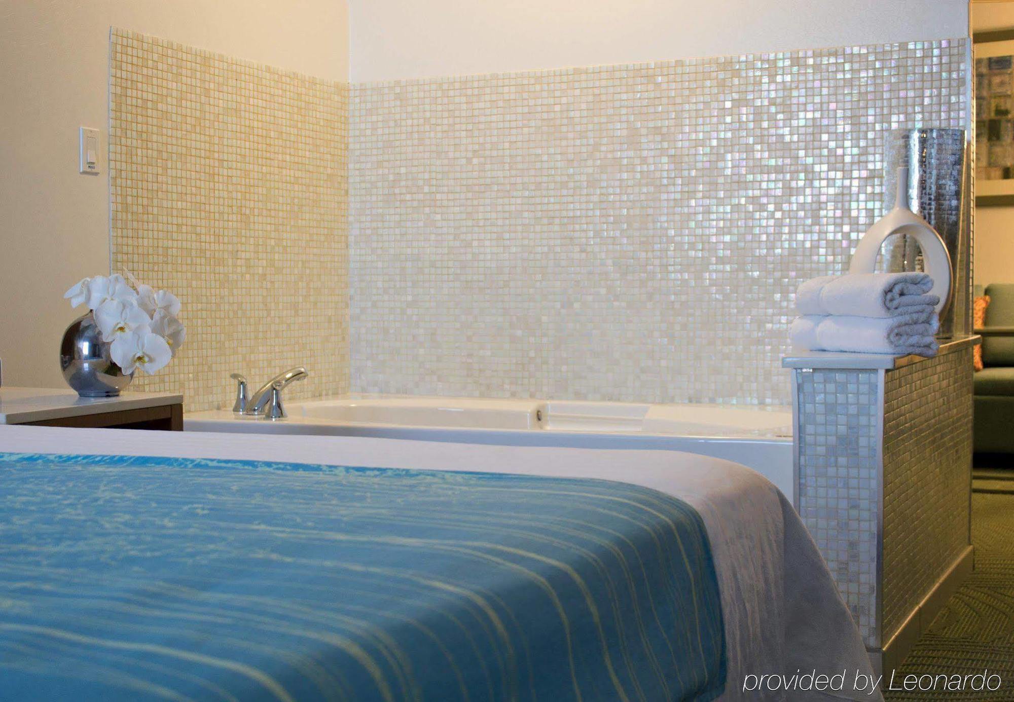 Springhill Suites Cincinnati Airport South Florence Habitación foto